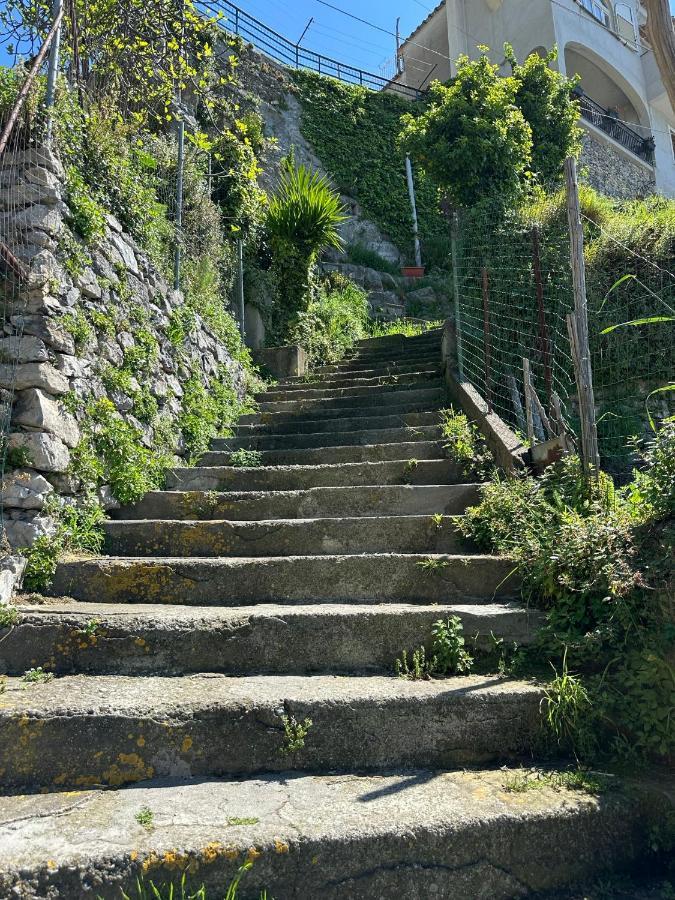 B&B Mamma Rosa Positano Exteriör bild