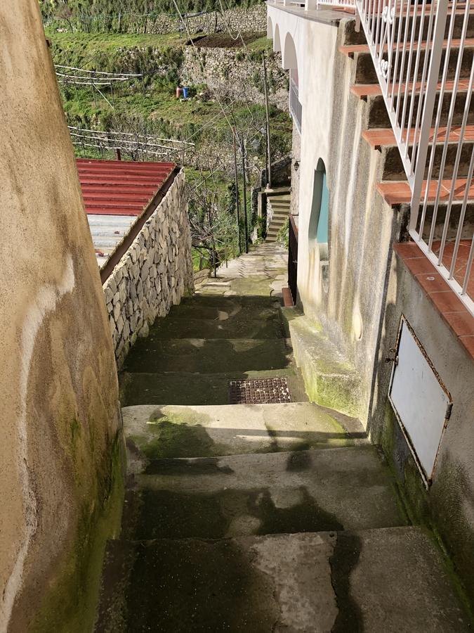 B&B Mamma Rosa Positano Exteriör bild